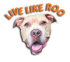 Live Like Roo